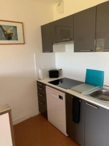 Apartmán Grand Studio Route Des Sanguinaires Tres Belle Vue Mer Ajaccio  Exteriér fotografie
